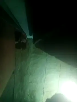 Snapshot of priyasharma899 chatting on March 13, 12:06 am priyasharma899 online show from March 13, 12:06 am