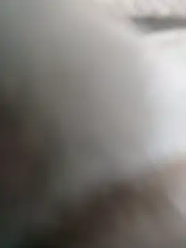 Felipe 20cm online show from February 4, 4:24 pm