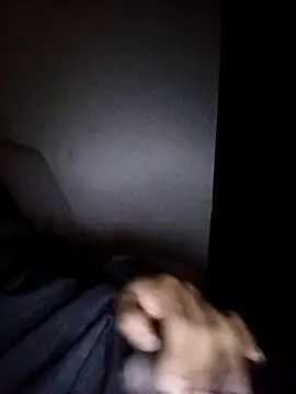 Snapshot of CorrectMusic2 chatting on February 11, 9:03 am CorrectMusic2 online show from February 11, 9:03 am