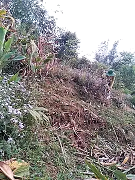 lia-coy online show from April 15, 12:50 am