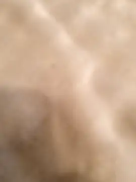 Snapshot of testmailx75 chatting on February 23, 9:23 pm testmailx75 online show from February 23, 9:23 pm