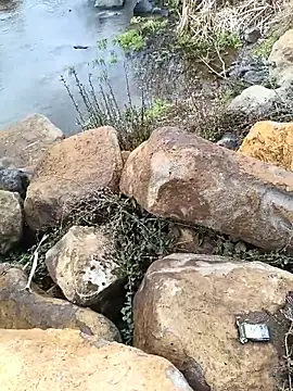 costt2 online show from January 18, 11:03 am