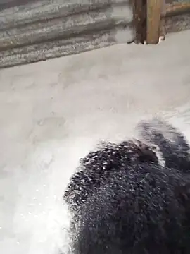 Snapshot of vaniyna chatting on February 22, 10:58 am vaniyna online show from February 22, 10:58 am