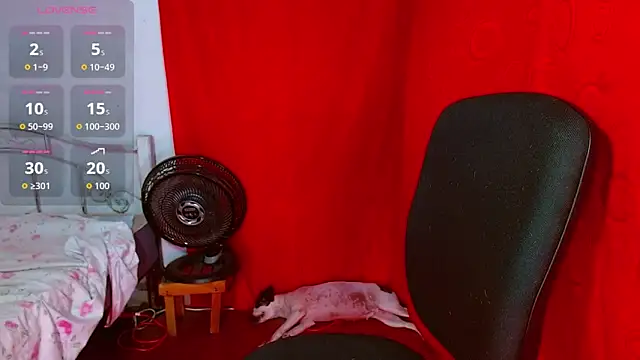 latin princess 12 online show from February 12, 6:47 pm