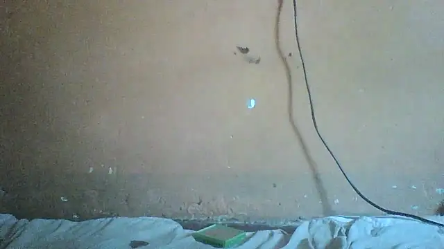 Sexyass100 online show from April 17, 10:07 am