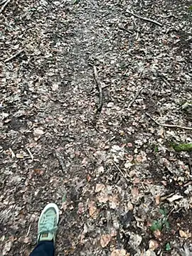 Snapshot of tony3729 chatting on February 28, 11:22 am tony3729 online show from February 28, 11:22 am