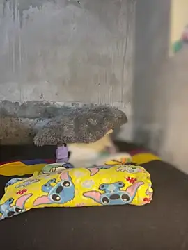 Snapshot of Iam_AlexandraRey chatting on February 3, 7:02 am Iam AlexandraRey online show from February 3, 7:02 am