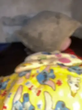 Snapshot of Iam_AlexandraRey chatting on February 15, 12:07 am Iam AlexandraRey online show from February 15, 12:07 am