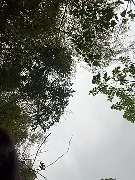 Lyn-be99 online show from March 5, 6:31 am