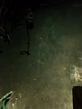 Hoa-tuylip online show from February 13, 1:29 pm