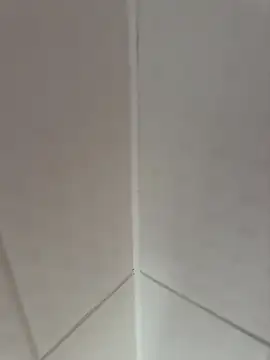 fali35 online show from February 17, 2:13 pm