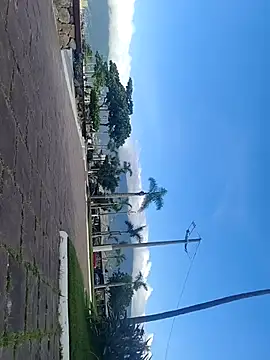 Snapshot of Gustavo52367 chatting on February 20, 7:36 pm Gustavo52367 online show from February 20, 7:36 pm