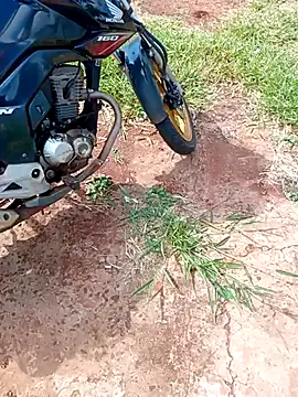 negrim10 online show from February 10, 12:31 pm