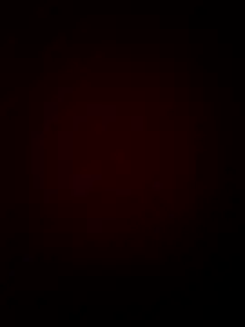 CattingSample online show from April 15, 4:47 pm