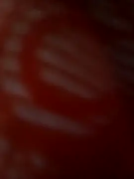 ROMASARKAR online show from March 21, 12:10 pm