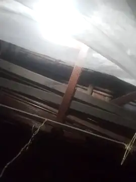 Snapshot of degeneradicto chatting on February 15, 5:04 am degeneradicto online show from February 15, 5:04 am