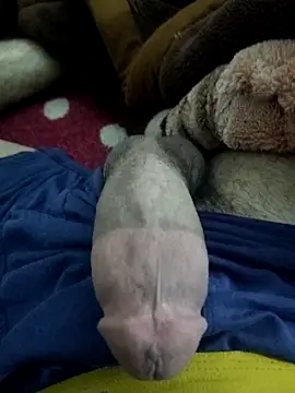 Snapshot of amirMohamed58 chatting on February 23, 9:23 pm amirMohamed58 online show from February 23, 9:23 pm