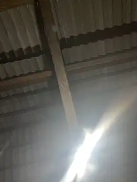 bikhidj online show from April 21, 1:39 pm