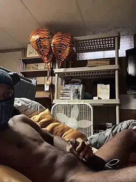 ProveYourLoyalty2 online show from April 2, 12:36 pm