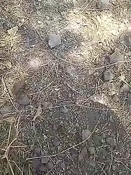 Cute Boy 4 online show from March 15, 8:09 am