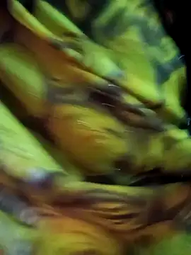 Snapshot of Muskan44s chatting on February 17, 12:23 pm Muskan44s online show from February 17, 12:23 pm