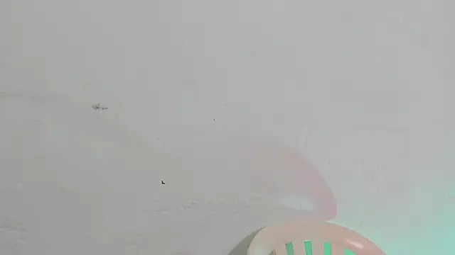 Emely pregnantt online show from February 13, 4:03 pm