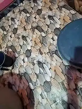 Snapshot of tamilpaiyan989 chatting on April 5, 2:53 am tamilpaiyan989 online show from April 5, 2:53 am