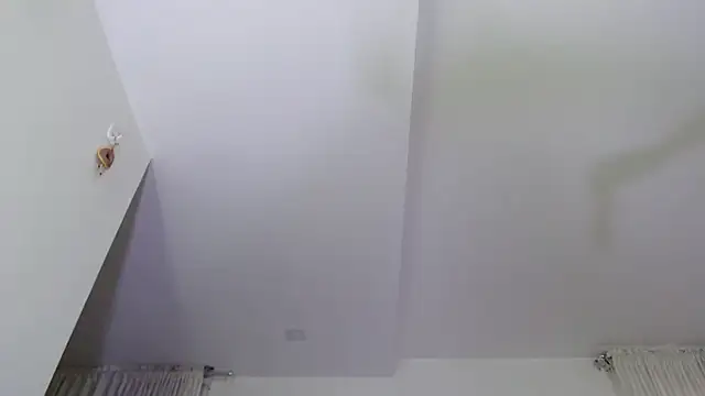  luisaeliza  online show from July 1, 11:23 am