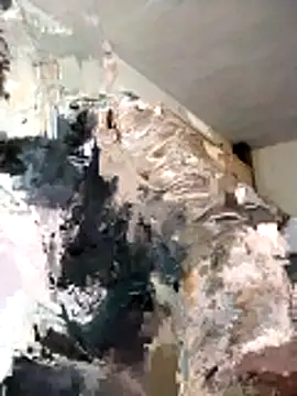 BoxedDitty online show from February 21, 3:18 am