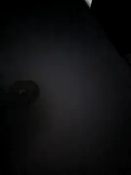 Snapshot of franc_300 chatting on April 16, 12:00 am franc 300 online show from April 16, 12:00 am