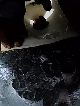 Snapshot of telugucoupless143 chatting on April 5, 8:44 am telugucoupless143 online show from April 5, 8:44 am