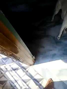 Snapshot of rubitrides11 chatting on February 18, 6:09 am rubitrides11 online show from February 18, 6:09 am