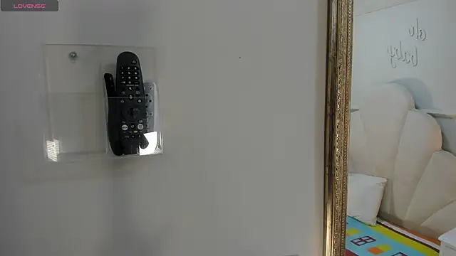 Snapshot of Haileysans chatting on February 11, 11:37 am Haileysans online show from February 11, 11:37 am