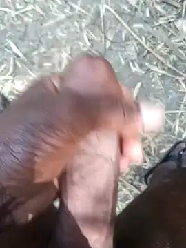 kalai 32 online show from February 17, 6:10 am