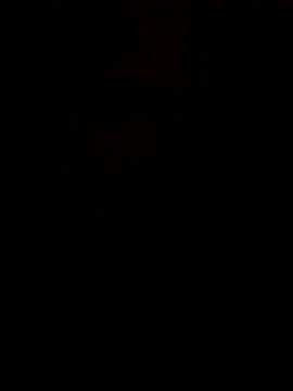 S7LEALTADPERVLIMA7 online show from June 21, 7:27 pm