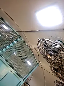 Snapshot of Talkwithsex chatting on February 4, 2:39 am Talkwithsex online show from February 4, 2:39 am