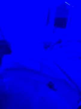 Snapshot of bojo69 chatting on February 13, 12:12 pm bojo69 online show from February 13, 12:12 pm