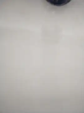 macariocb online show from February 8, 2:20 pm