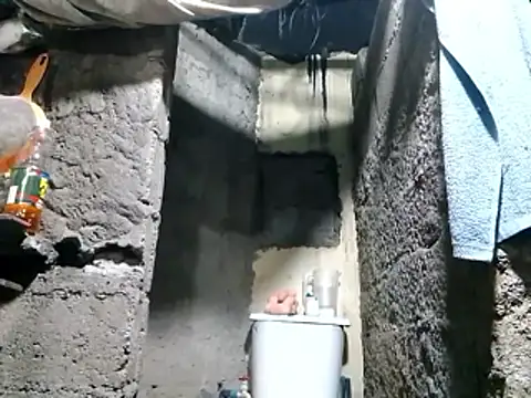 polla large active online show from April 11, 12:26 am