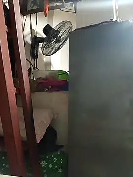 Wildcam21 online show from February 19, 4:30 am