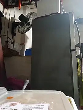 Wildcam21 online show from February 24, 9:51 am