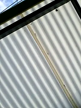 Snapshot of Pau_2007 chatting on February 9, 1:04 pm Pau 2007 online show from February 9, 1:04 pm