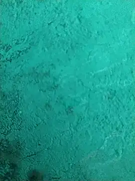 imasanju online show from February 11, 1:32 am