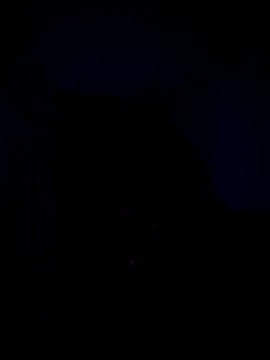 Telugucouple69 online show from February 15, 10:17 pm