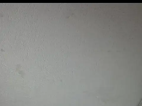 Snapshot of peytonbrunette chatting on March 23, 5:22 am peytonbrunette online show from March 23, 5:22 am