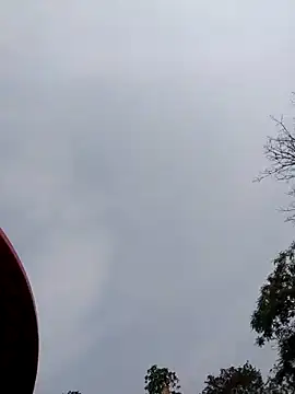 Linka998 online show from April 5, 7:49 am