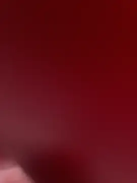 stallone italiano 62 online show from February 9, 11:14 am