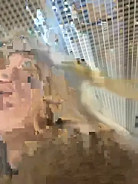 Snapshot of -OliviaSoft chatting on March 1, 2:41 pm -OliviaSoft online show from March 1, 2:41 pm