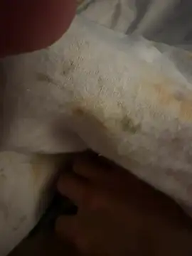 Snapshot of sbollando13 chatting on February 8, 7:56 am sbollando13 online show from February 8, 7:56 am