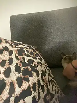 little dreamer  online show from March 9, 7:18 pm